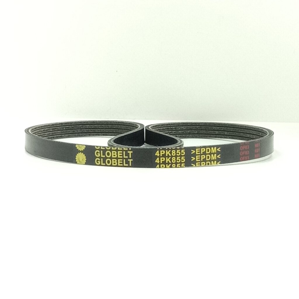 4PK855 Nissan Sentra, Hyundai Matrix, Elantra, Avante, Kia Sportage , BMW 318I GloBelt Fan Belt